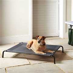 Bunty Elevated Dog Bed